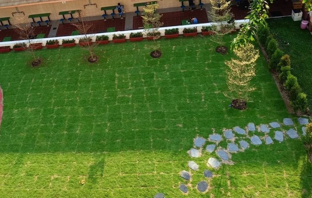 Garden Lawn